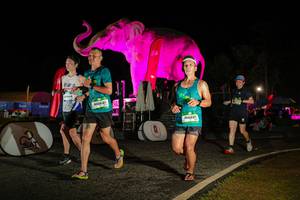 BIB: 
                            <button type="button" onclick="openModal(26534258)" class="btn btn-primary btn-sm float-right btn-popup" data-toggle="modal" data-target=".modal-high-quality">
                        <i class="fas fa-shopping-cart"></i> Add to Cart
                    </button>
                                            <button type="button" onclick="isThisMe(26534258, true)" class="btn btn-success btn-sm float-right btn-popup btn-isme hidden" data-toggle="tooltip" data-placement="bottom" title="นี่คือรูปของคุณใช่ไหม คลิกที่นี่เพื่อเอาเข้าอัลบั้ม">
                        <i class="fas fa-plus"></i> Add to album
                    </button>
                    <button type="button" onclick="isThisMe(26534258, false)" class="btn btn-warning btn-sm float-right btn-popup btn-isnotme hidden">
                        <i class="fas fa-ban"></i> Remove from album
                    </button>